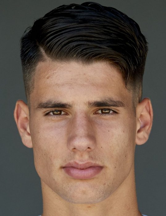 Доминик Собослаи