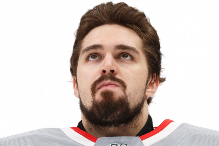 Дмитрий Николаев